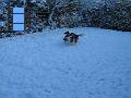 2009-12-19 11 M